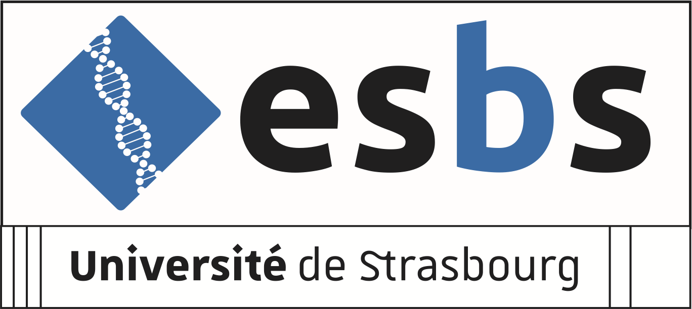 Logo ESBS